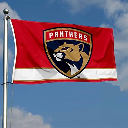 Florida Panthers Új Logó, Zászló, Banner
